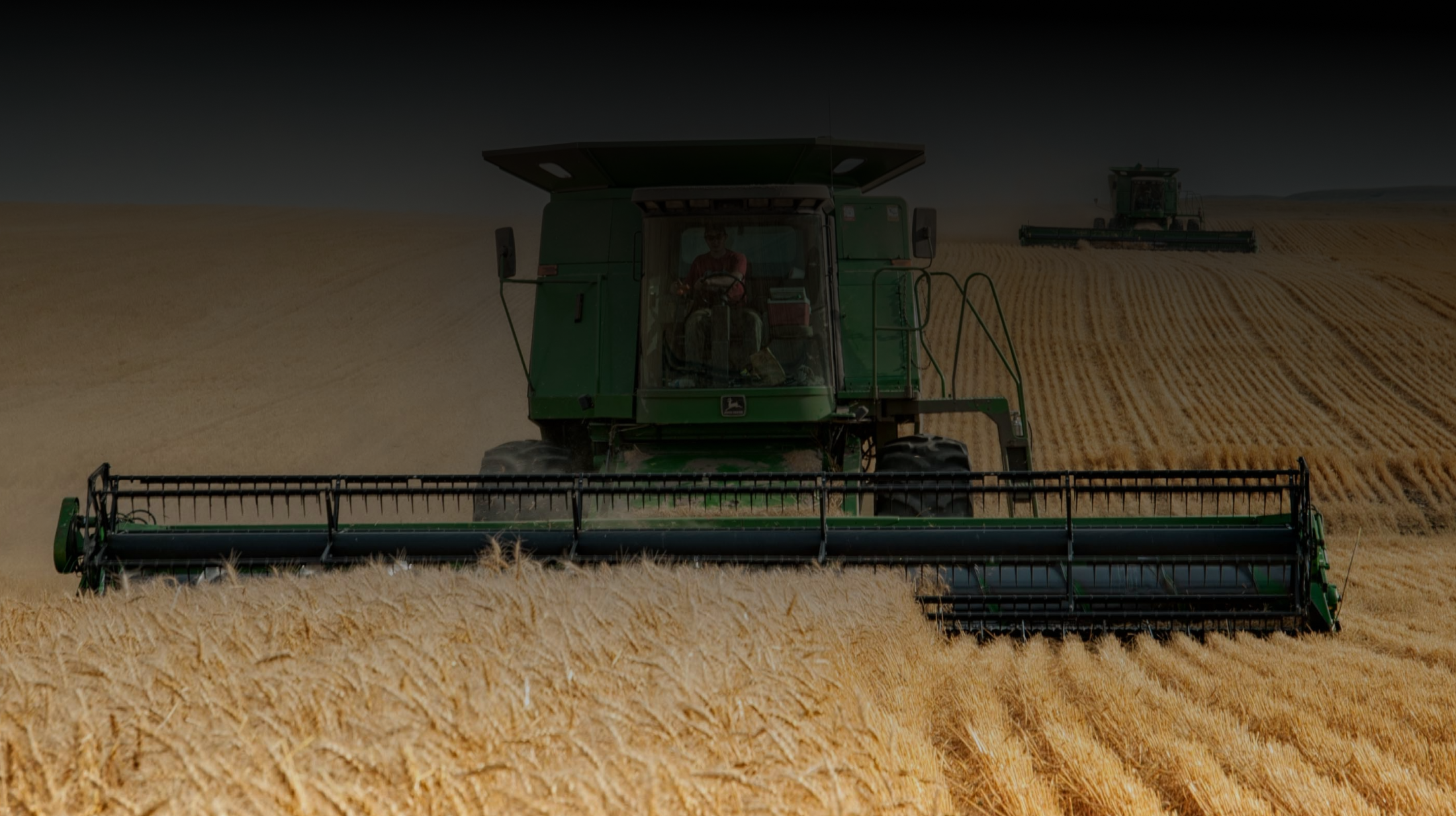 project cover picture