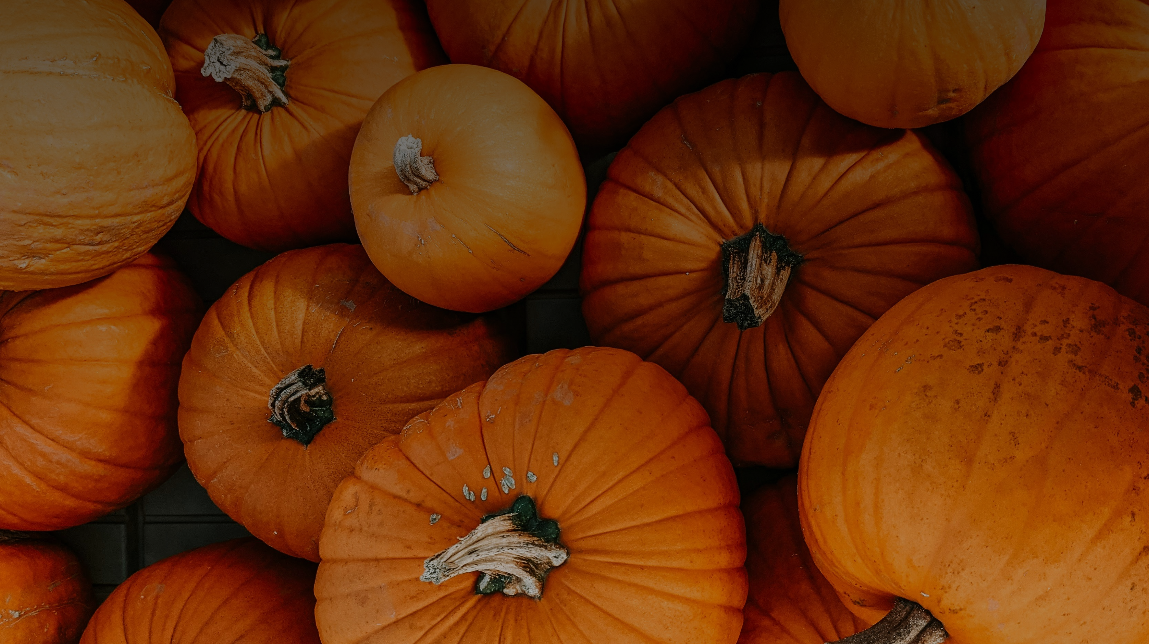 project cover picture