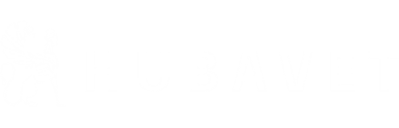 Hubavet logo