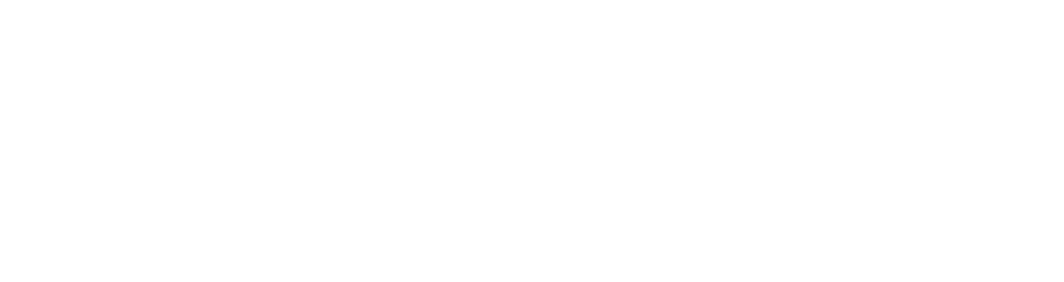 project logo